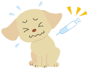 犬のワクチン接種