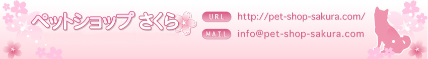 footer